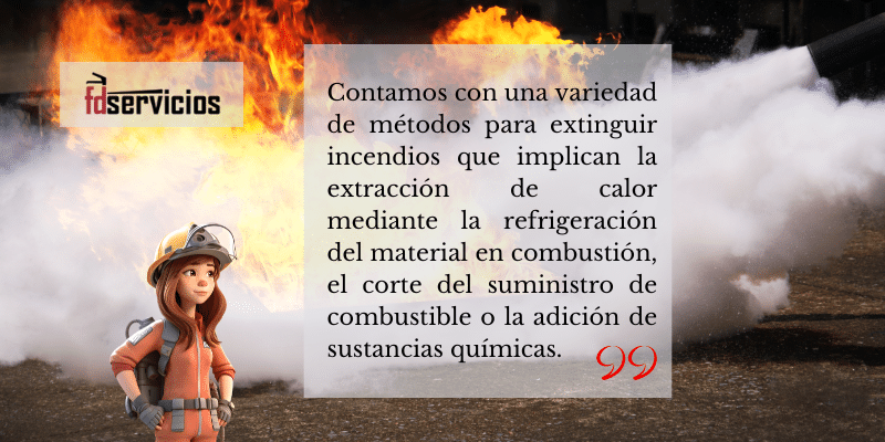 25042024 consejos FD Servicios